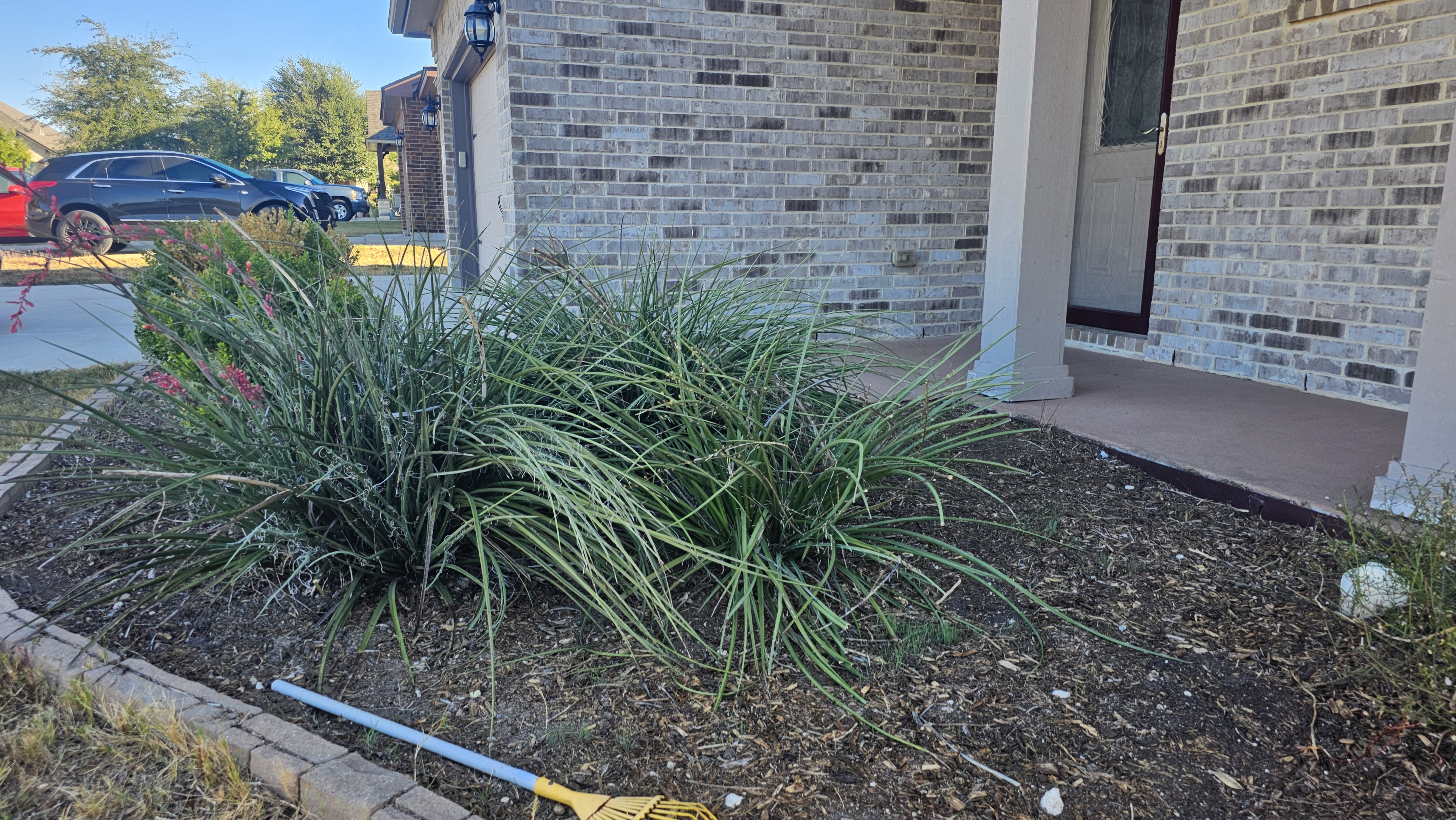 Before: fresh mulch in flower beds or tree beds